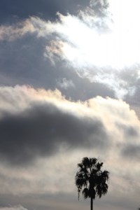 November & December 571